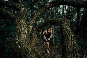 BIB: 
                            <button type="button" onclick="openModal(25665319)" class="btn btn-primary btn-sm float-right btn-popup" data-toggle="modal" data-target=".modal-high-quality">
                        <i class="fas fa-shopping-cart"></i> Add to Cart
                    </button>
                                            <button type="button" onclick="isThisMe(25665319, true)" class="btn btn-success btn-sm float-right btn-popup btn-isme hidden" data-toggle="tooltip" data-placement="bottom" title="นี่คือรูปของคุณใช่ไหม คลิกที่นี่เพื่อเอาเข้าอัลบั้ม">
                        <i class="fas fa-plus"></i> Add to album
                    </button>
                    <button type="button" onclick="isThisMe(25665319, false)" class="btn btn-warning btn-sm float-right btn-popup btn-isnotme hidden">
                        <i class="fas fa-ban"></i> Remove from album
                    </button>